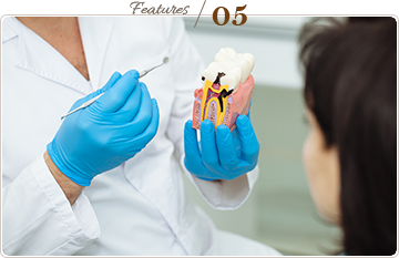 徹底したカウンセリング分かりやすい説明